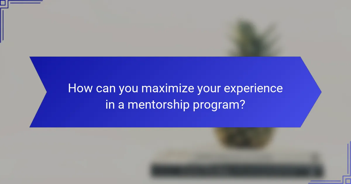 How can you maximize your experience in a mentorship program?