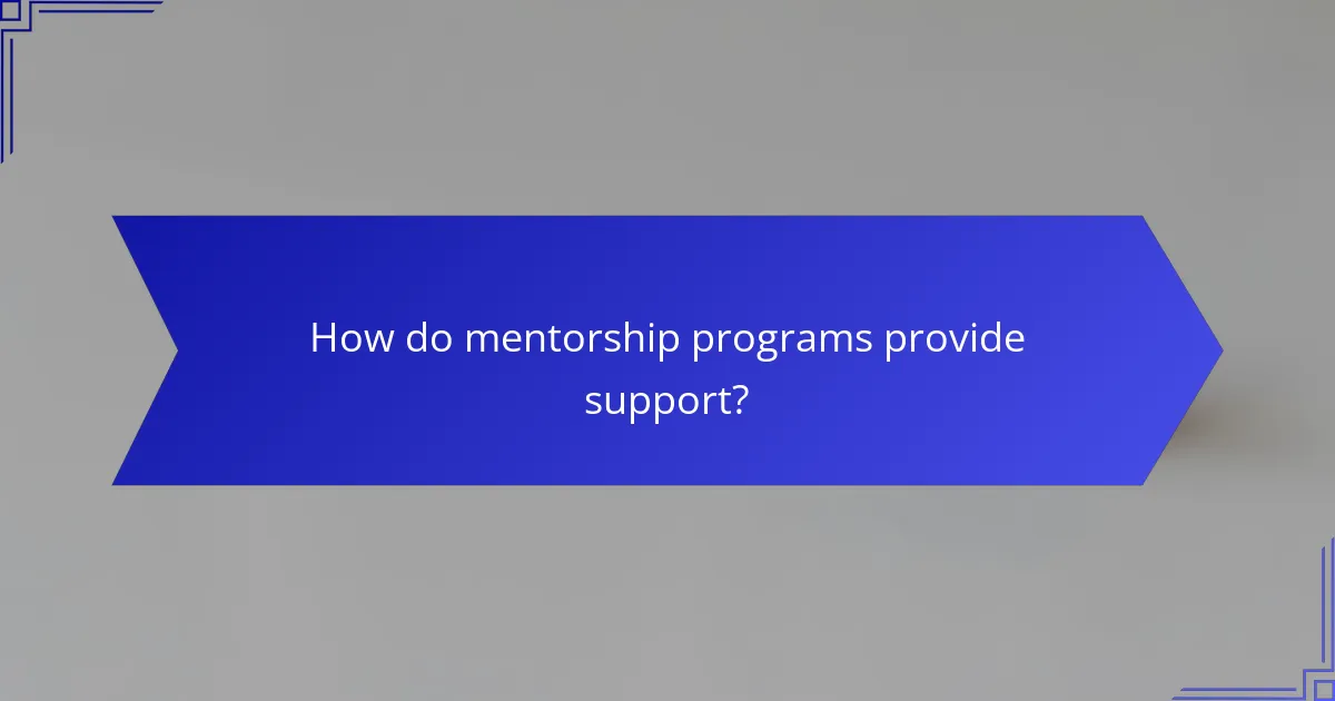 How do mentorship programs provide support?