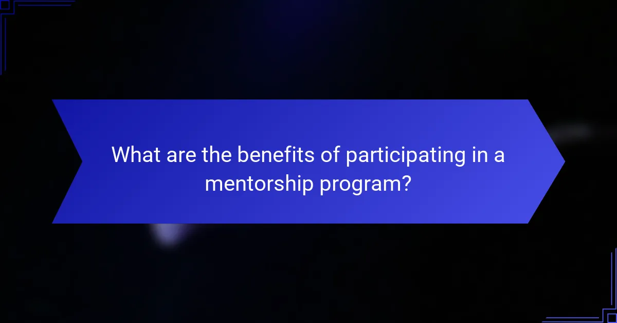 What are the benefits of participating in a mentorship program?