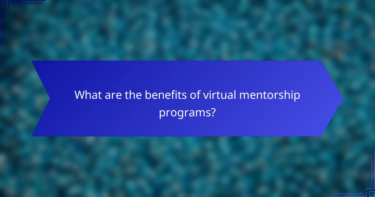 What are the benefits of virtual mentorship programs?