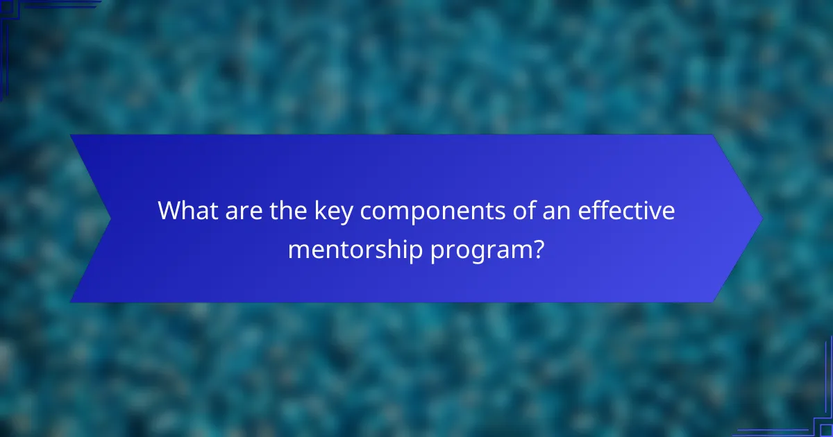 What are the key components of an effective mentorship program?