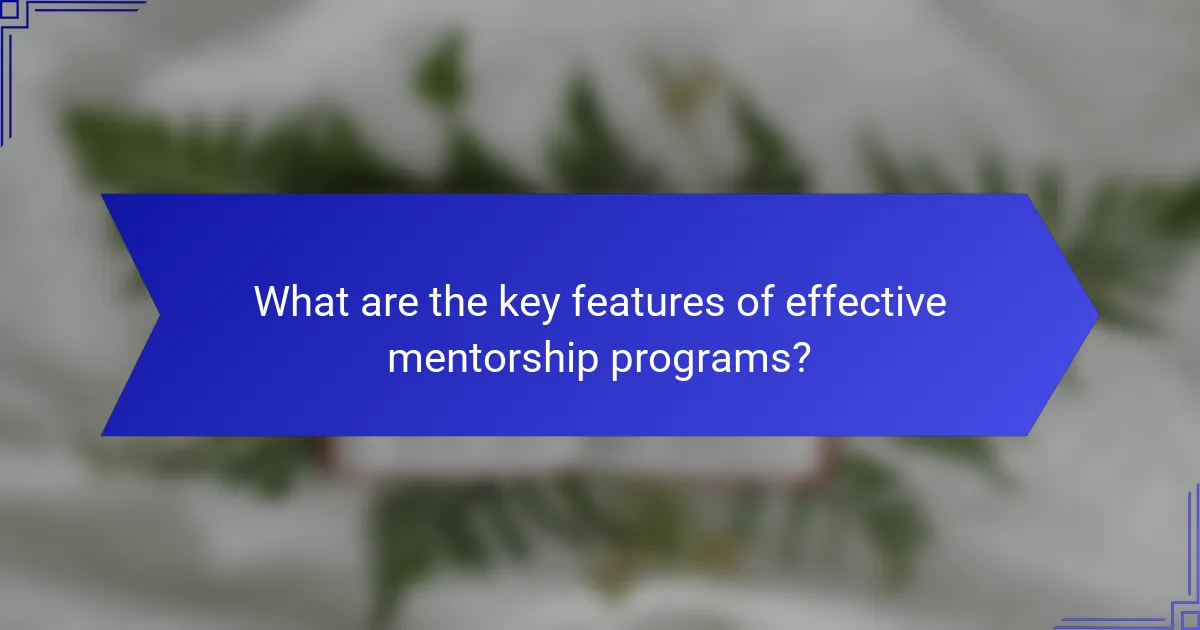 What are the key features of effective mentorship programs?