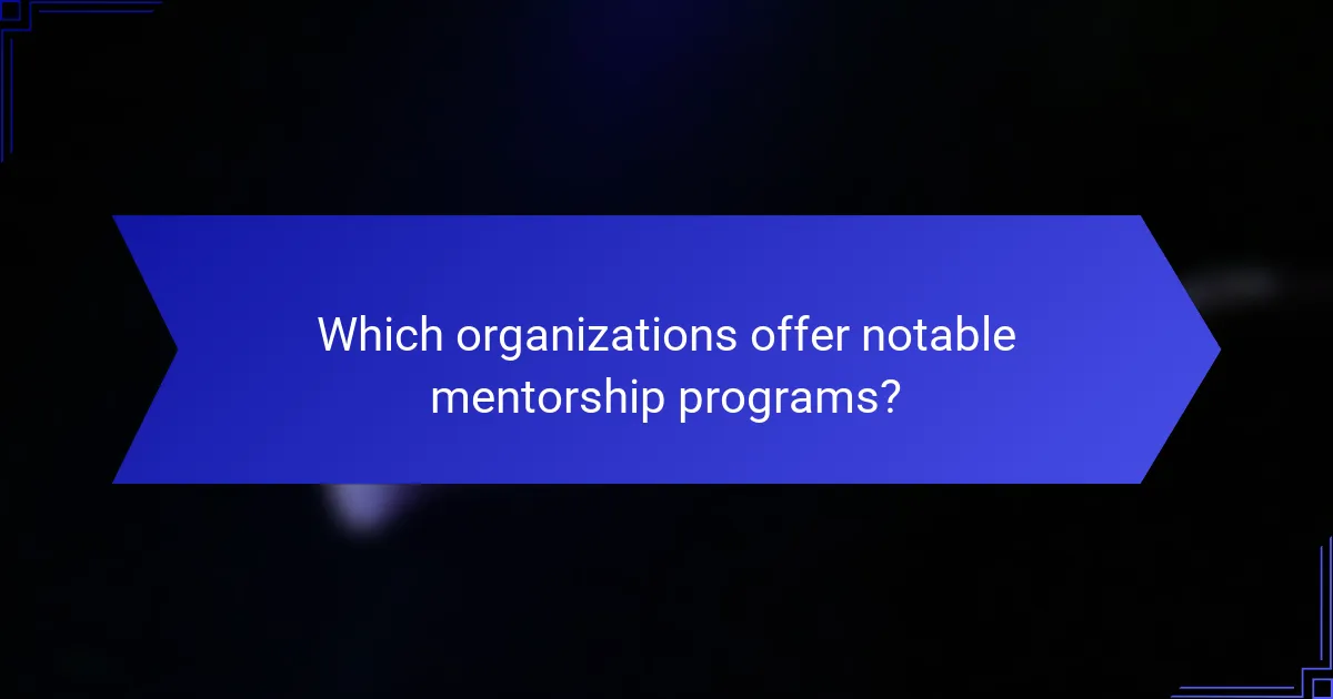 Which organizations offer notable mentorship programs?